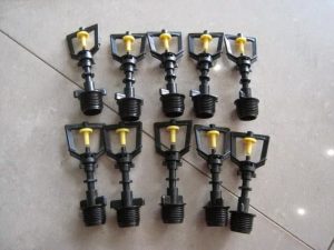 1449569300Bec-tuoi-phun-suong-han-quoc