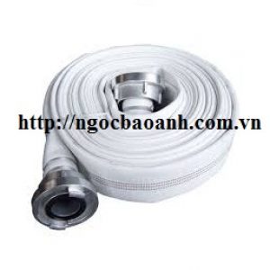 voi-chua-chay-trung-quoc-d50-mong